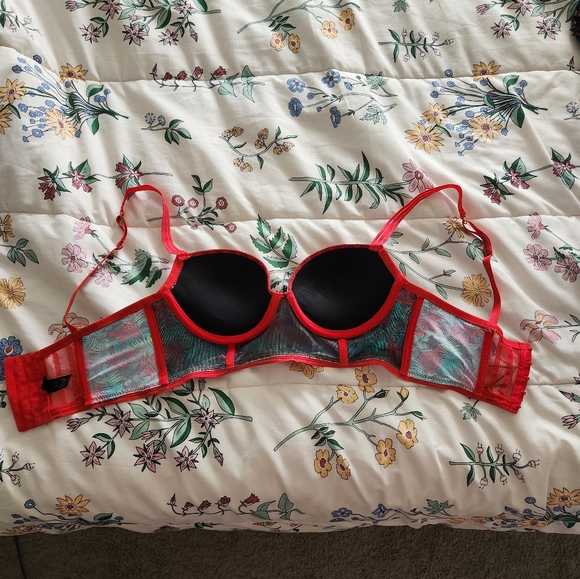 Daisy Fuentes 34B - Picture 3 of 3